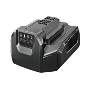 Ego CH2100E Charger